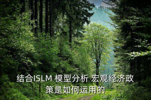 結合ISLM 模型分析 宏觀經(jīng)濟政策是如何運用的