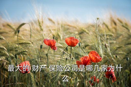 2014年財產(chǎn)保險公司排名,大家財產(chǎn)保險公司排名全國第幾