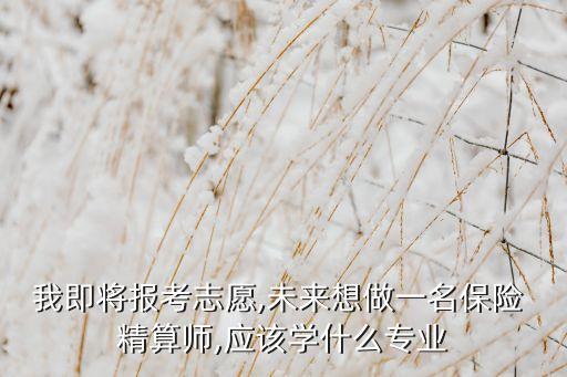 我即將報(bào)考志愿,未來(lái)想做一名保險(xiǎn) 精算師,應(yīng)該學(xué)什么專業(yè)