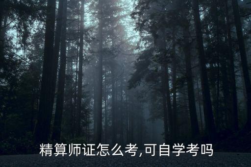  精算師證怎么考,可自學(xué)考嗎