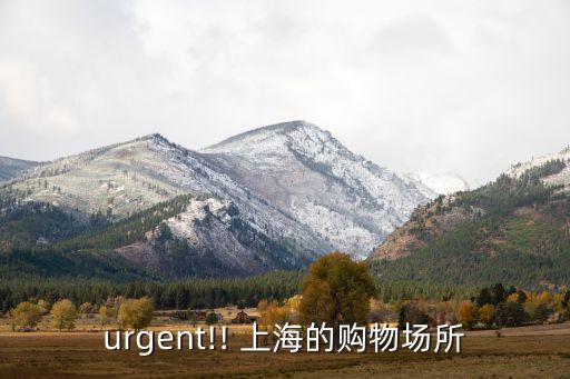 urgent!! 上海的購(gòu)物場(chǎng)所