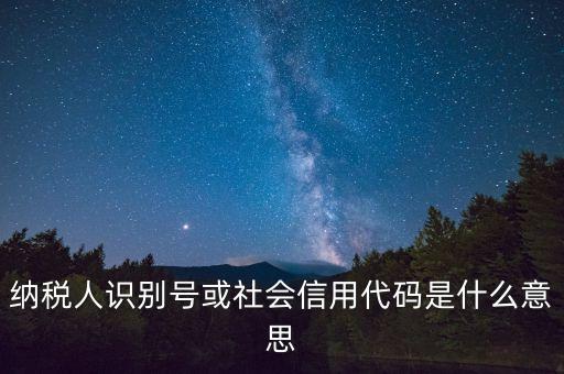 納稅人識(shí)別號(hào)或社會(huì)信用代碼是什么意思