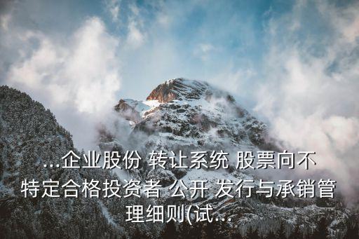 ...企業(yè)股份 轉(zhuǎn)讓系統(tǒng) 股票向不特定合格投資者 公開 發(fā)行與承銷管理細則(試...