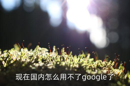 現(xiàn)在國內怎么用不了google了