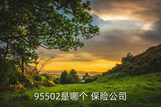 95502是哪個(gè) 保險(xiǎn)公司