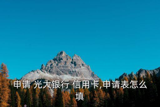 申請(qǐng) 光大銀行 信用卡,申請(qǐng)表怎么填