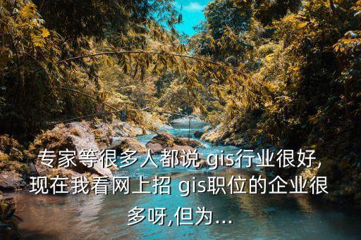 專家等很多人都說 gis行業(yè)很好,現(xiàn)在我看網(wǎng)上招 gis職位的企業(yè)很多呀,但為...