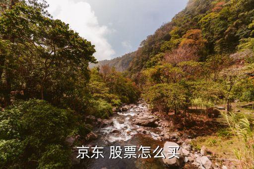 京東商城有沒有發(fā)布股票,港股京東商城股票