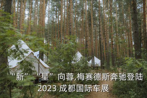 “新”“星”向蓉,梅賽德斯奔馳登陸2023 成都國(guó)際車(chē)展