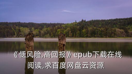 《低風(fēng)險(xiǎn),高回報(bào)》epub下載在線閱讀,求百度網(wǎng)盤云資源