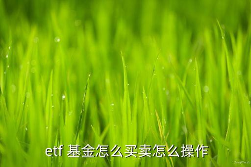 etf聯(lián)接基金起點(diǎn),ETF聯(lián)接基金與ETF的區(qū)別