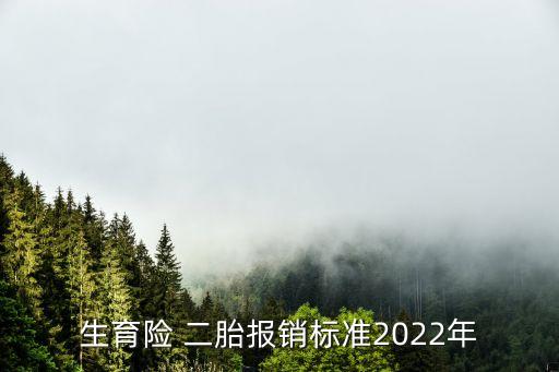 生育險(xiǎn) 二胎報(bào)銷(xiāo)標(biāo)準(zhǔn)2022年