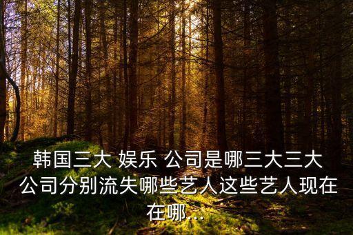  韓國三大 娛樂 公司是哪三大三大 公司分別流失哪些藝人這些藝人現(xiàn)在在哪...