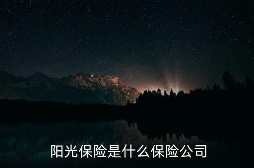  陽光保險是什么保險公司