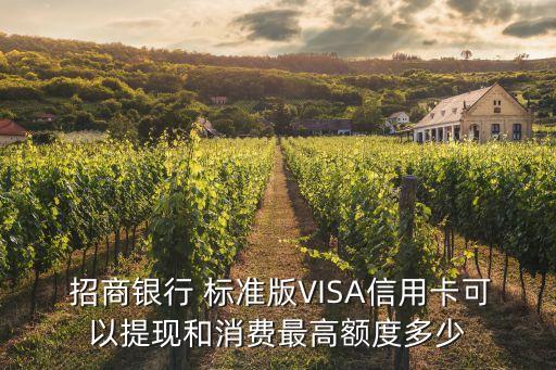 visa標準金卡招商銀行是多少錢,招商銀行VISA金卡權(quán)益