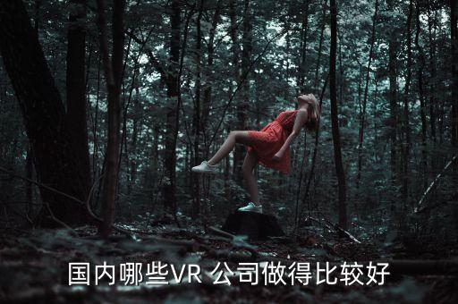 國內(nèi)哪些VR 公司做得比較好