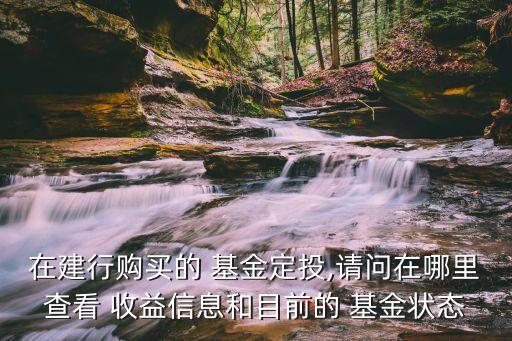 在建行購買的 基金定投,請問在哪里查看 收益信息和目前的 基金狀態(tài)