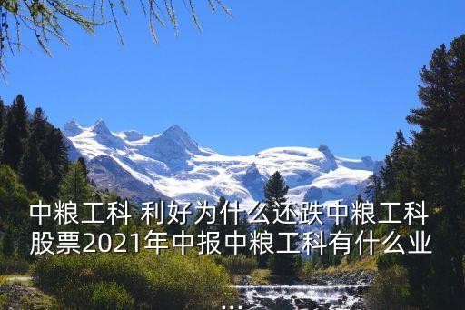 中糧工科 利好為什么還跌中糧工科 股票2021年中報中糧工科有什么業(yè)...