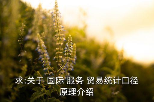 求:關于 國際 服務 貿易統計口徑原理介紹