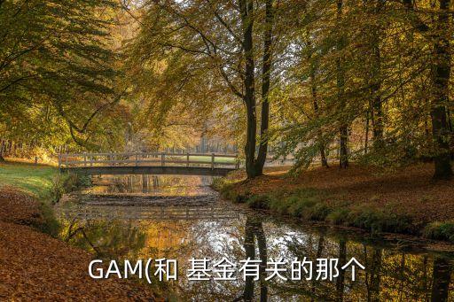 GAM(和 基金有關(guān)的那個