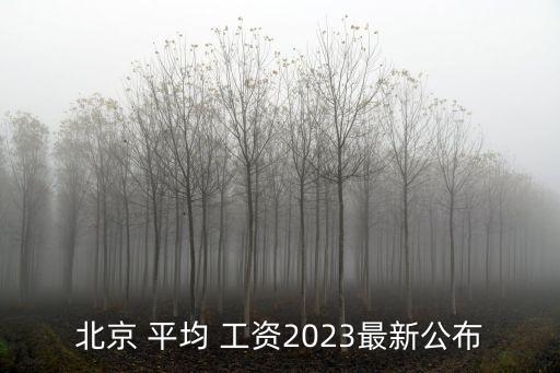 北京 平均 工資2023最新公布