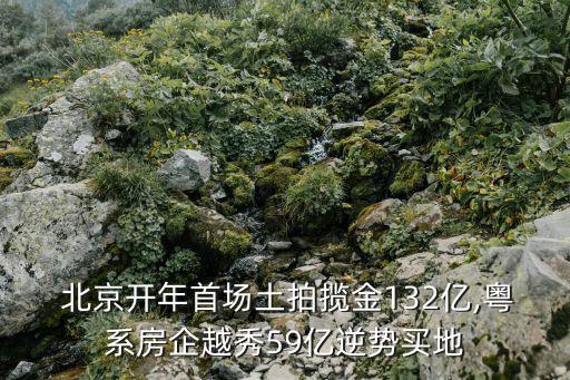  北京開年首場土拍攬金132億,粵系房企越秀59億逆勢買地