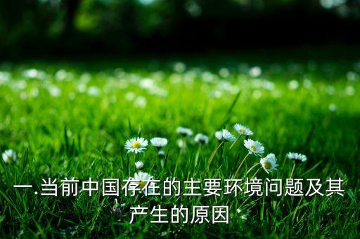 一.當(dāng)前中國存在的主要環(huán)境問題及其產(chǎn)生的原因