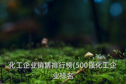 化工企業(yè)銷售排行榜(500強化工企業(yè)排名