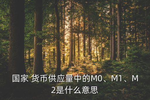 國家 貨幣供應量中的M0、M1、M2是什么意思