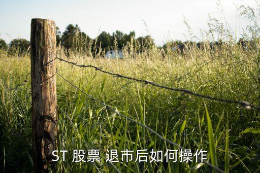 ST 股票 退市后如何操作