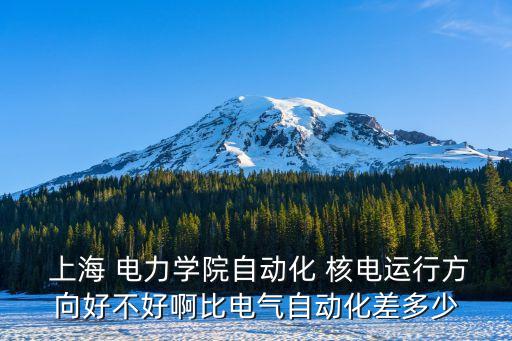  上海 電力學(xué)院自動化 核電運行方向好不好啊比電氣自動化差多少