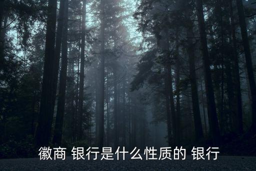 徽商銀行是國企嗎,為什么不能存徽商銀行