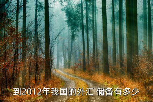 到2012年我國的外匯 儲備有多少