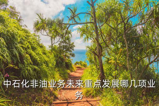 中石化非油業(yè)務(wù)未來重點發(fā)展哪幾項業(yè)務(wù)