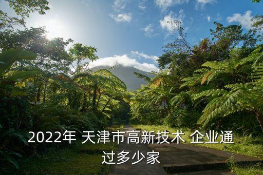 2022年 天津市高新技術(shù) 企業(yè)通過(guò)多少家