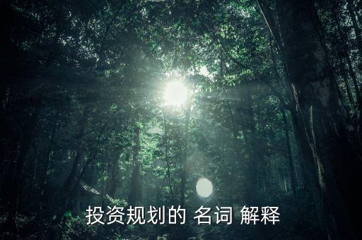 投資的名詞解釋,國(guó)際直接投資的名詞解釋