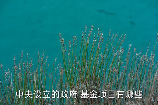 中西部旅游發(fā)展基金,江蘇省旅游產(chǎn)業(yè)發(fā)展基金何總