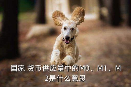 國家 貨幣供應量中的M0、M1、M2是什么意思