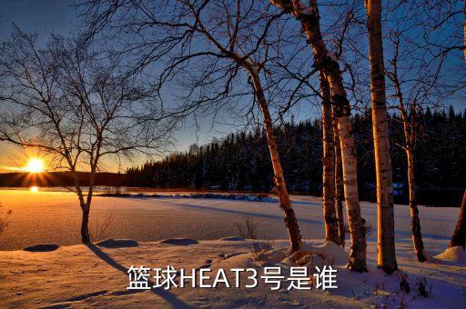 籃球HEAT3號(hào)是誰(shuí)