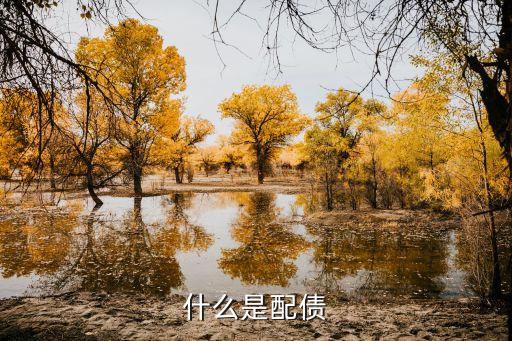 可轉(zhuǎn)換公司債券方案,關(guān)于可轉(zhuǎn)換公司債券的說(shuō)法,不正確的是