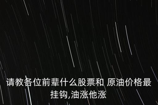 請教各位前輩什么股票和 原油價格最掛鉤,油漲他漲