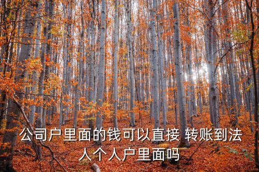  公司戶里面的錢可以直接 轉(zhuǎn)賬到法人個(gè)人戶里面嗎