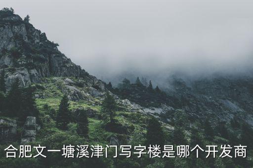 合肥文一塘溪津門寫字樓是哪個開發(fā)商