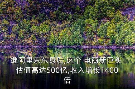 繼阿里京東身后,這個(gè) 電商新巨頭 估值高達(dá)500億,收入增長1400倍