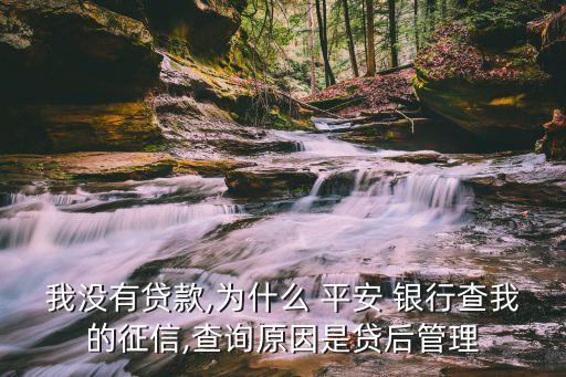 我沒有貸款,為什么 平安 銀行查我的征信,查詢?cè)蚴琴J后管理