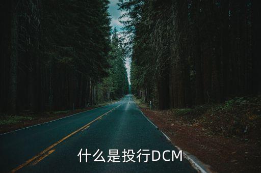 什么是投行DCM