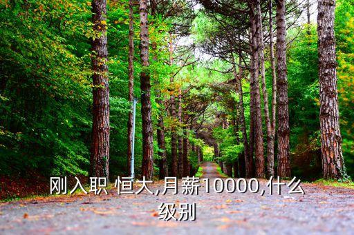 剛?cè)肼?恒大,月薪10000,什么級(jí)別