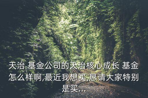 天治 基金公司的天治核心成長(zhǎng) 基金怎么樣啊,最近我想買(mǎi),懇請(qǐng)大家特別是買(mǎi)...