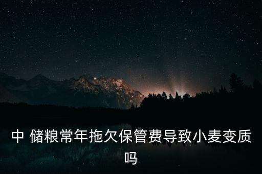 中儲糧河南分公司