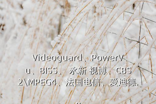 Videoguard、PowerVu、BISS、 永新 視博、CBS2\MPEG4、法國電信、愛迪德...